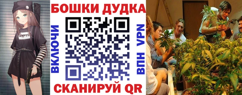 Бошки марихуана THC 21%  купить закладку  Покровск 